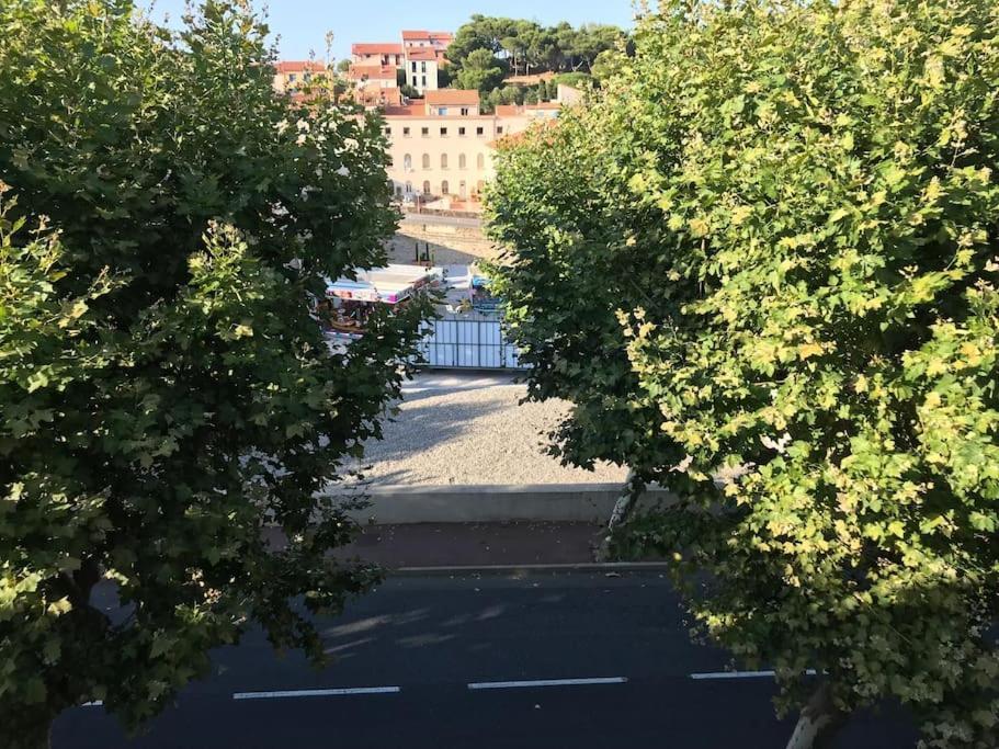 Studio Bon Dia/Balcon/Proche Criques Et Collioure Leilighet Port Vendres Eksteriør bilde