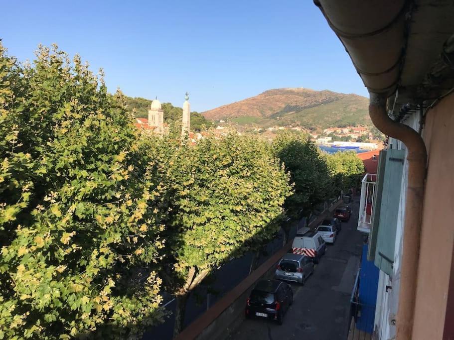 Studio Bon Dia/Balcon/Proche Criques Et Collioure Leilighet Port Vendres Eksteriør bilde